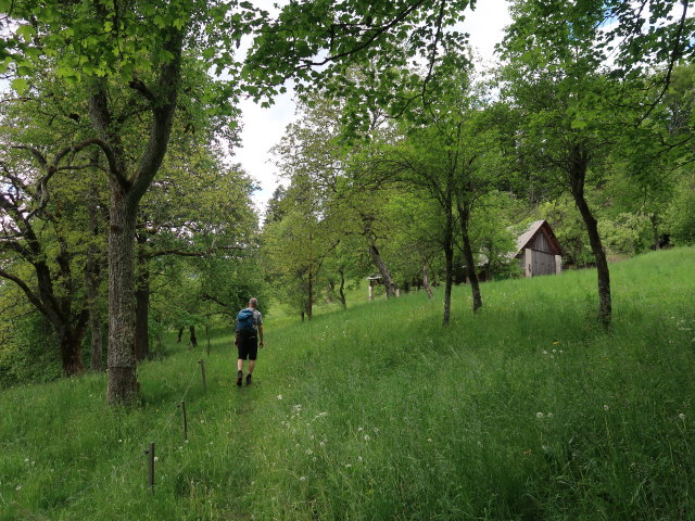Frank zwischen Schl&ouml;schitz und Bad Eisenkappel