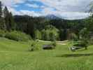 Haller
