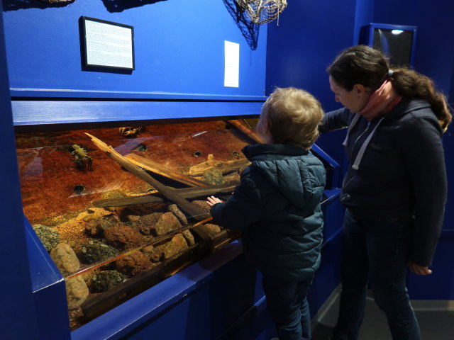 Nils und Sabine im Maretarium in Kotka (22. Mai)