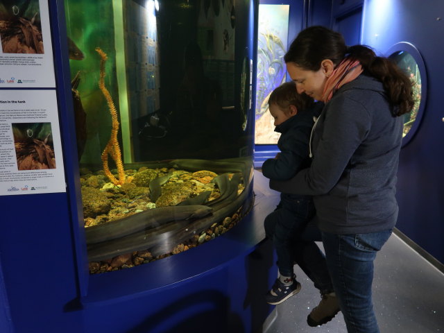 Nils und Sabine im Maretarium in Kotka (22. Mai)