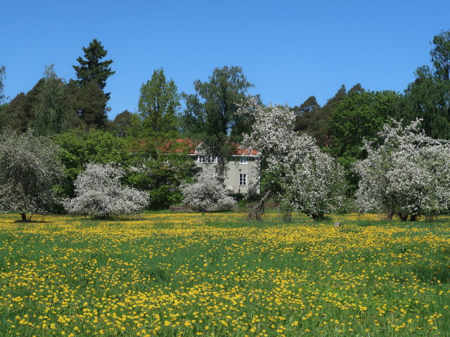Villa Ruths in Kouvola (23. Mai)