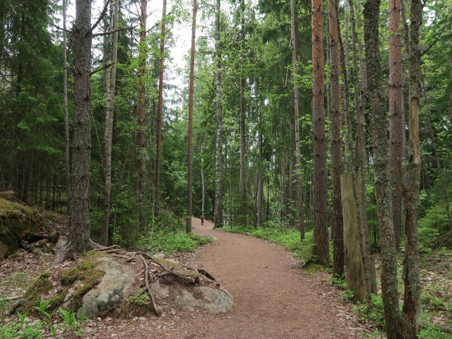 Nils am Ketunlenkki im Repoveden Kansallispuisto (24. Mai)