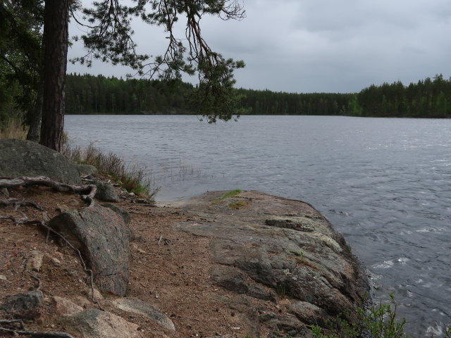 Kapiavesi im Repoveden Kansallispuisto (24. Mai)
