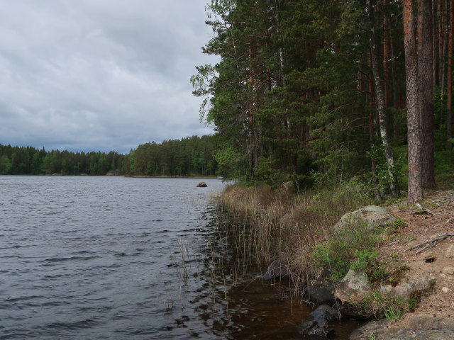 Kapiavesi im Repoveden Kansallispuisto (24. Mai)