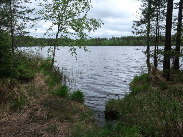 Kapiavesi im Repoveden Kansallispuisto (24. Mai)