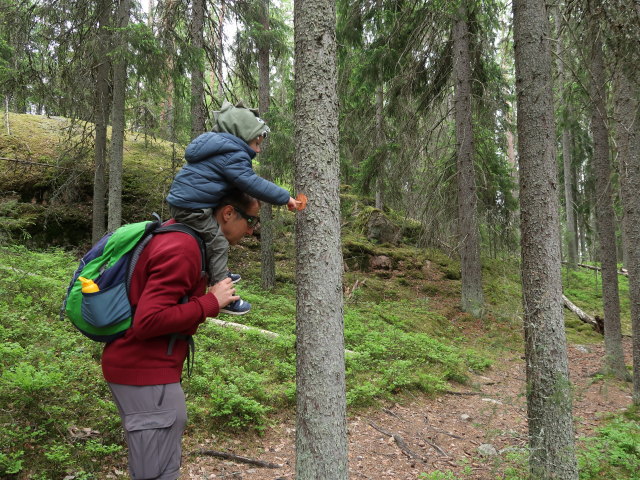 Ich und Nils am Ketunlenkki im Repoveden Kansallispuisto (24. Mai)