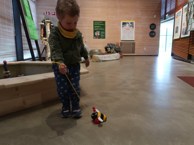Nils in der Sonderausstellung 'Leikki&auml;h&auml;n t&auml;m&auml; vaan on' im Suomen Mets&auml;museo Lusto (25. Mai)