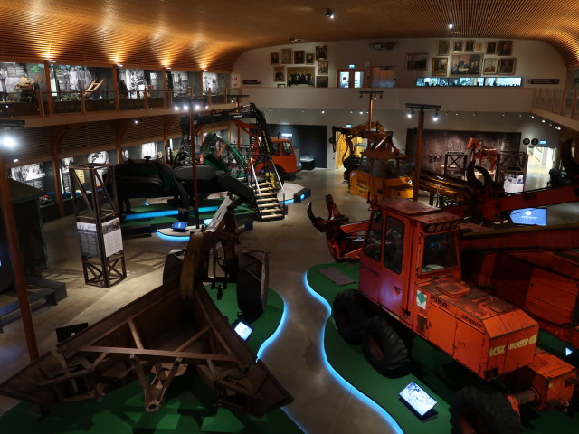 Suomen Mets&auml;museo Lusto (25. Mai)