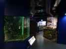 Maretarium in Kotka (22. Mai)