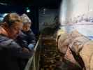 Sabine und Nils im Maretarium in Kotka (22. Mai)