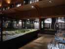 Suomen Mets&auml;museo Lusto (25. Mai)