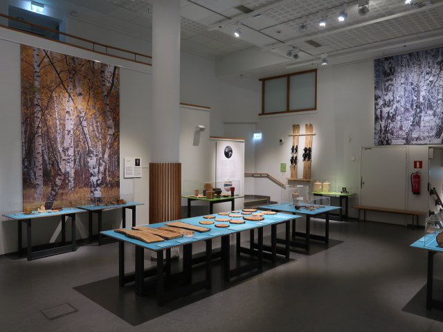 Suomen K&auml;sity&ouml;n Museo in Jyv&auml;skyl&auml; (28. Mai)