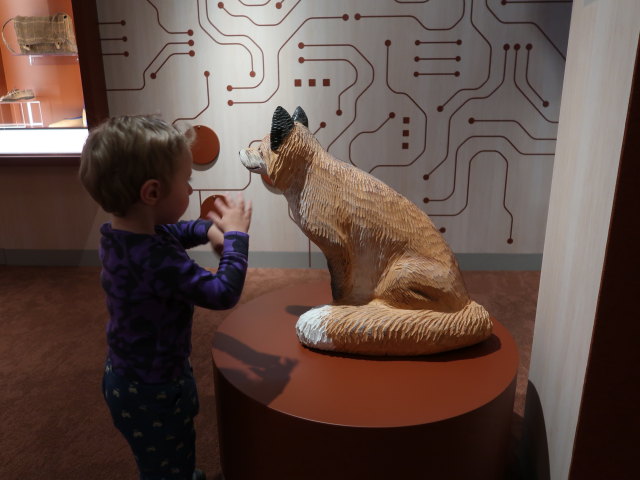 Nils im Suomen K&auml;sity&ouml;n Museo in Jyv&auml;skyl&auml; (28. Mai)