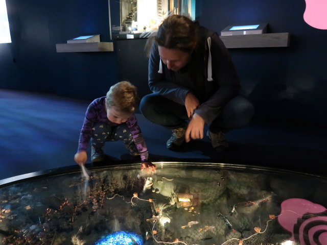 Nils und Sabine im Muumimuseo in Tampere (28. Mai)