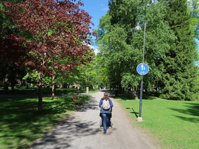 Sabine im Pyynikin Kirkkopuisto in Tampere (29. Mai)