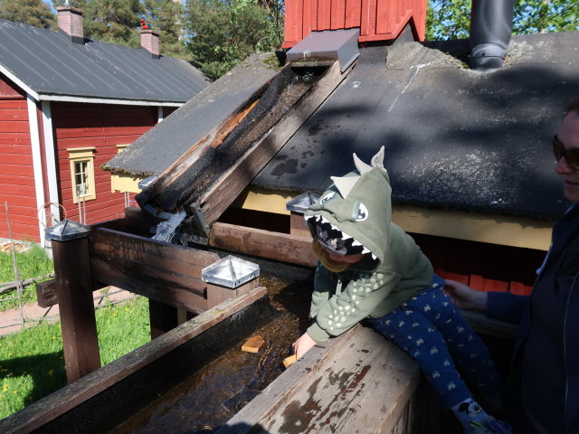 Nils und Sabine auf der Koiram&auml;en El&auml;inpuisto in S&auml;rk&auml;nniemi in Tampere (29. Mai)