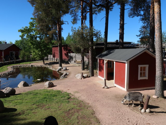 Koiram&auml;en El&auml;inpuisto in S&auml;rk&auml;nniemi in Tampere (29. Mai)