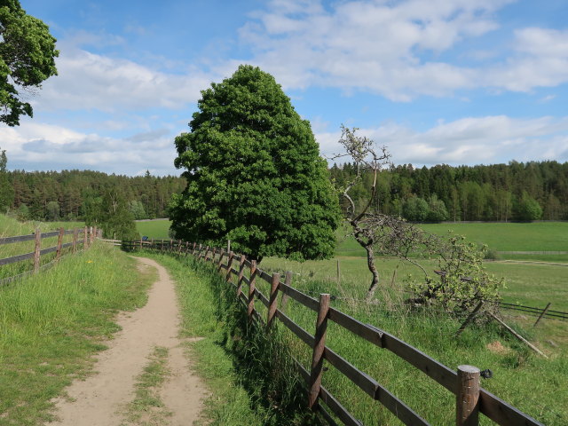 Kuralan Kyl&auml;m&auml;ki in Turku (31. Mai)