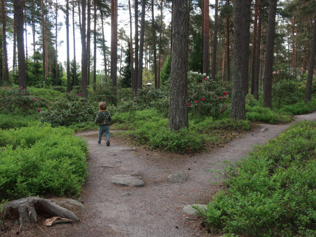Nils im Rhododendronpuisto in Raisio (1. Juni)