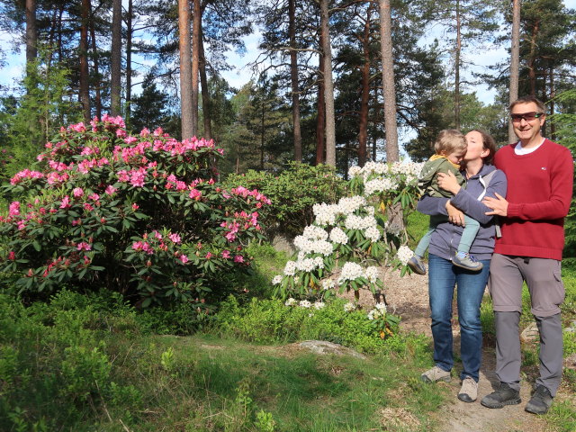 Nils, Sabine und ich im Rhododendronpuisto in Raisio (1. Juni)