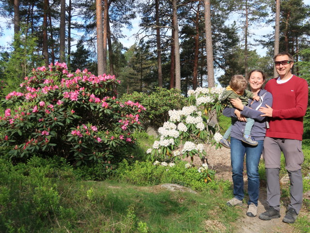 Nils, Sabine und ich im Rhododendronpuisto in Raisio (1. Juni)