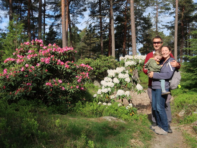 Nils, ich und Sabine im Rhododendronpuisto in Raisio (1. Juni)
