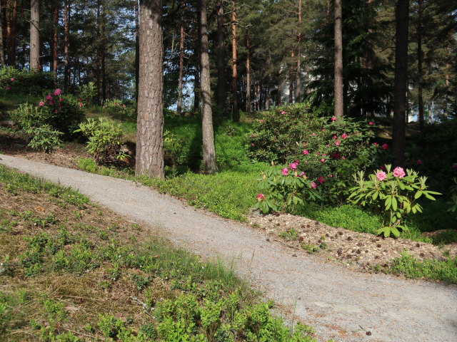 Rhododendronpuisto in Raisio (1. Juni)