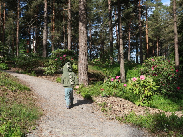 Nils im Rhododendronpuisto in Raisio (1. Juni)