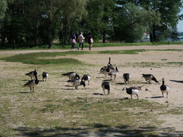 Kansanpuiston Ranta in Turku (1. Juni)