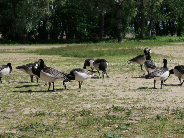 Kansanpuiston Ranta in Turku (1. Juni)