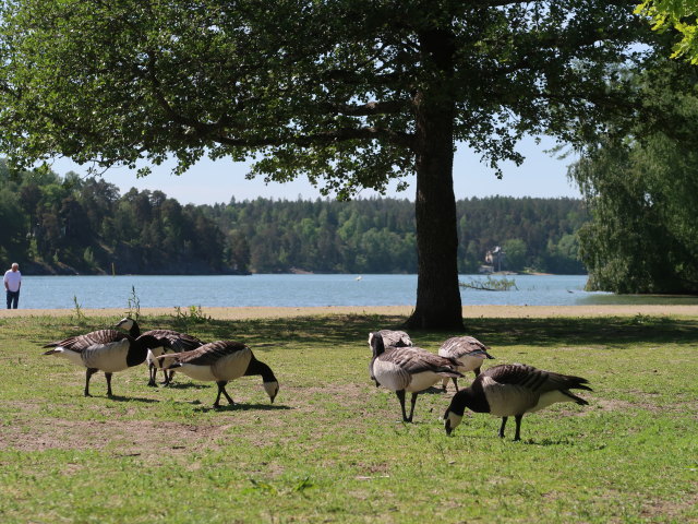 Kansanpuiston Ranta in Turku (1. Juni)