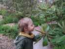Nils im Rhododendronpuisto in Raisio (1. Juni)