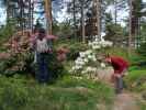Nils, Sabine und ich im Rhododendronpuisto in Raisio (1. Juni)