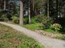 Rhododendronpuisto in Raisio (1. Juni)