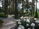 Sabine im Rhododendronpuisto in Raisio (1. Juni)
