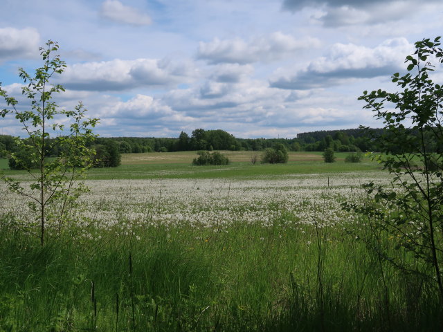 Lohja (2. Juni)