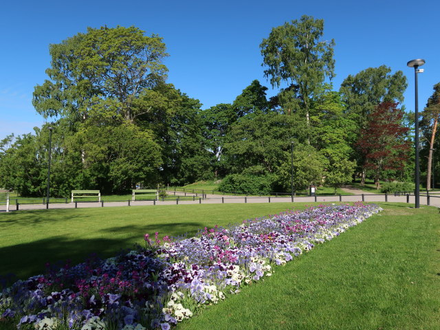 Sibeliuksenpuisto in Helsinki (3. Juni)