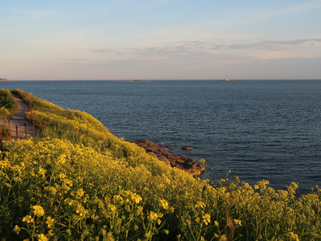 Susisaari in Suomenlinna in Helsinki (4. Juni)