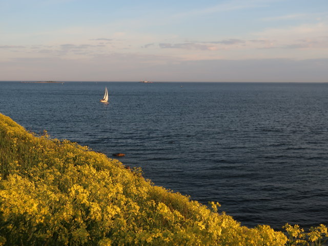 Susisaari in Suomenlinna in Helsinki (4. Juni)
