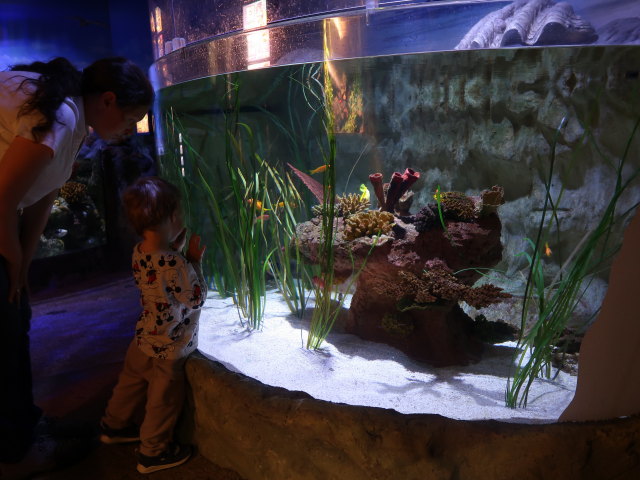Sabine und Nils in Sea Life Helsinki (6. Juni)