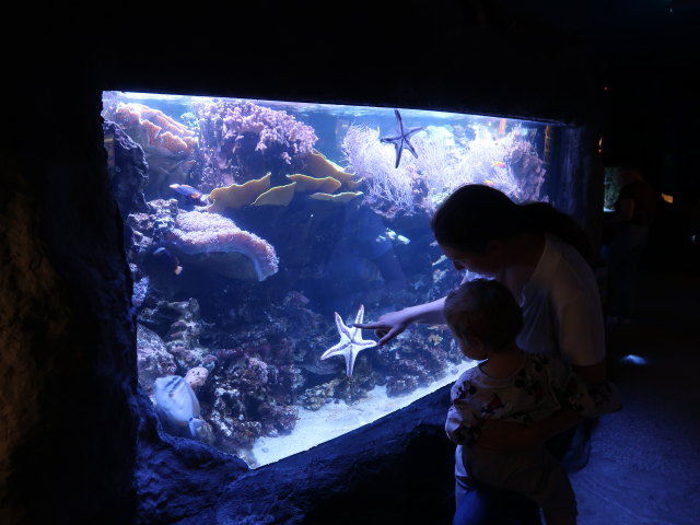 Sabine und Nils in Sea Life Helsinki (6. Juni)