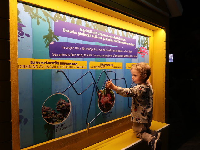 Nils in Sea Life Helsinki (6. Juni)