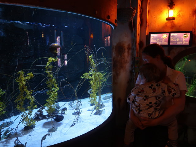 Nils und Sabine in Sea Life Helsinki (6. Juni)