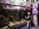 Nils in Sea Life Helsinki (6. Juni)