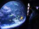 Sabine und Nils in Sea Life Helsinki (6. Juni)