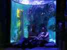 Ich, Nils und Sabine in Sea Life Helsinki (6. Juni)