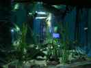 Sea Life Helsinki (6. Juni)