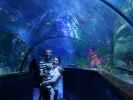Ich, Nils und Sabine in Sea Life Helsinki (6. Juni)