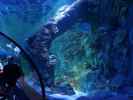 Sea Life Helsinki (6. Juni)