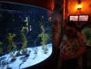 Nils und Sabine in Sea Life Helsinki (6. Juni)